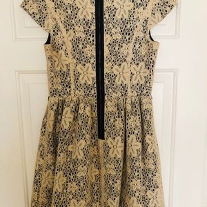 Kensie Black Lace dress